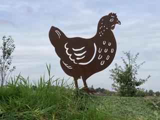 AC24 - Poule tête levée